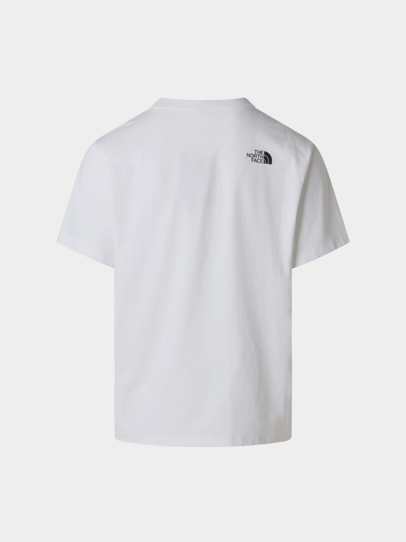 Футболки і поло The North Face M DONKEY TAXI RELAXED SHORT SL модель NF0A8G9FFN41 Футболки і поло The North Face M DONKEY TAXI RELAXED SHORT SL модель NF0A8G9FFN41 Фото