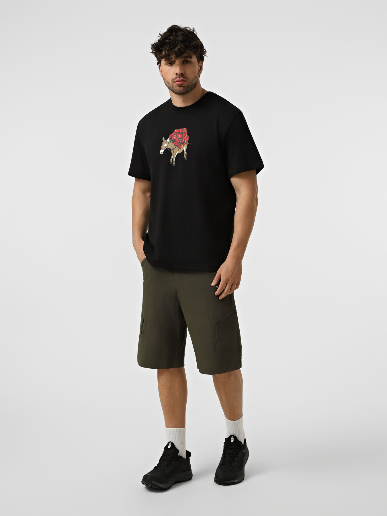Футболки і поло The North Face M DONKEY TAXI RELAXED SHORT SL модель NF0A8G9FJK31 Футболки і поло The North Face M DONKEY TAXI RELAXED SHORT SL модель NF0A8G9FJK31 Фото