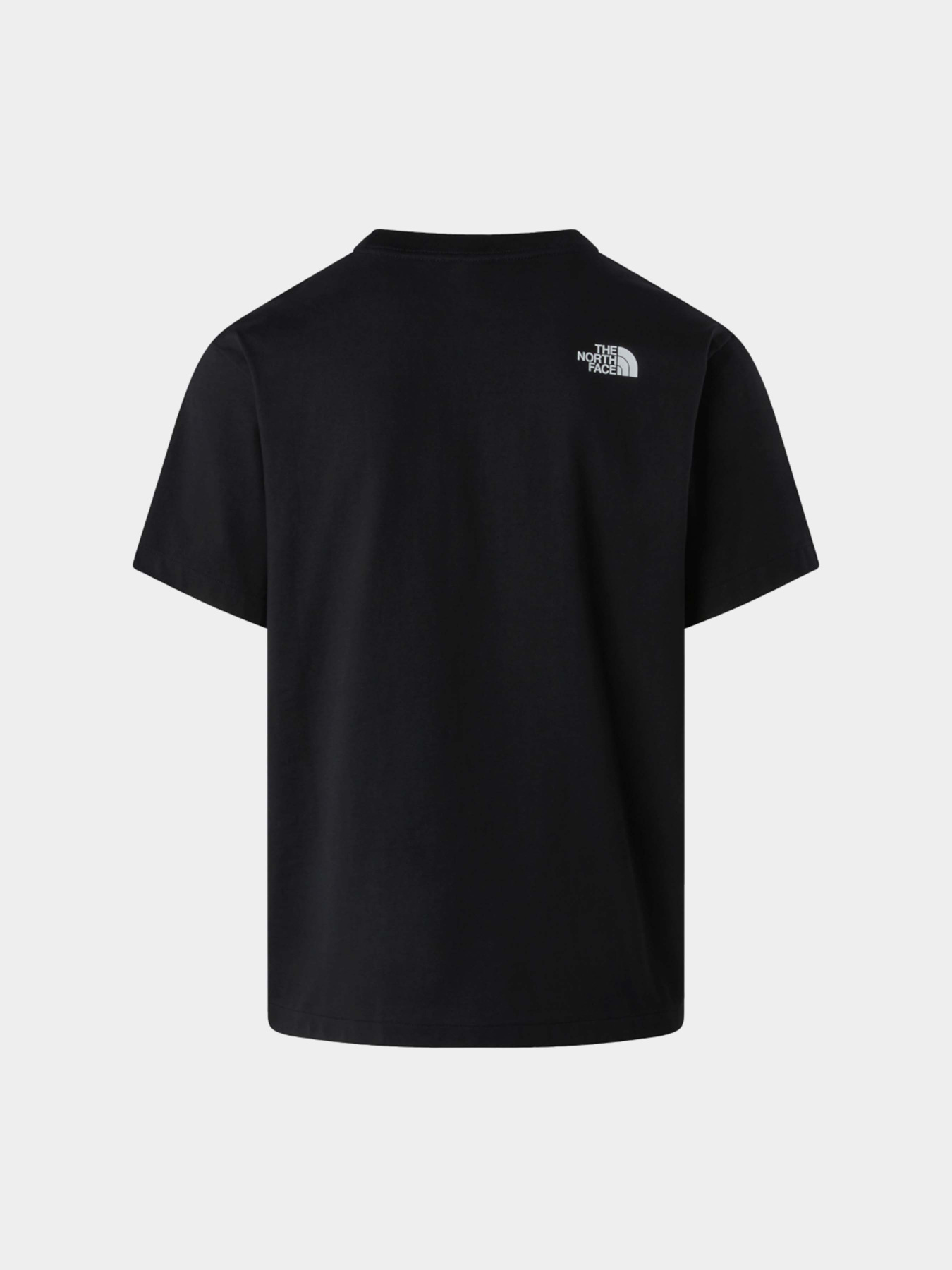 Футболки і поло The North Face M DONKEY TAXI RELAXED SHORT SL модель NF0A8G9FJK31 Футболки і поло The North Face M DONKEY TAXI RELAXED SHORT SL модель NF0A8G9FJK31 Фото