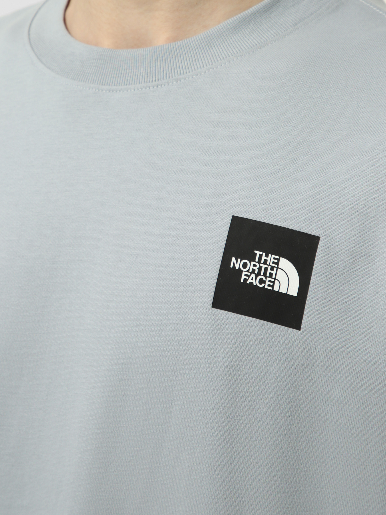 Футболки і поло The North Face M EXPEDITION PHOTO RELAXED SHO модель NF0A8G9KFM21 Футболки і поло The North Face M EXPEDITION PHOTO RELAXED SHO модель NF0A8G9KFM21 Фото
