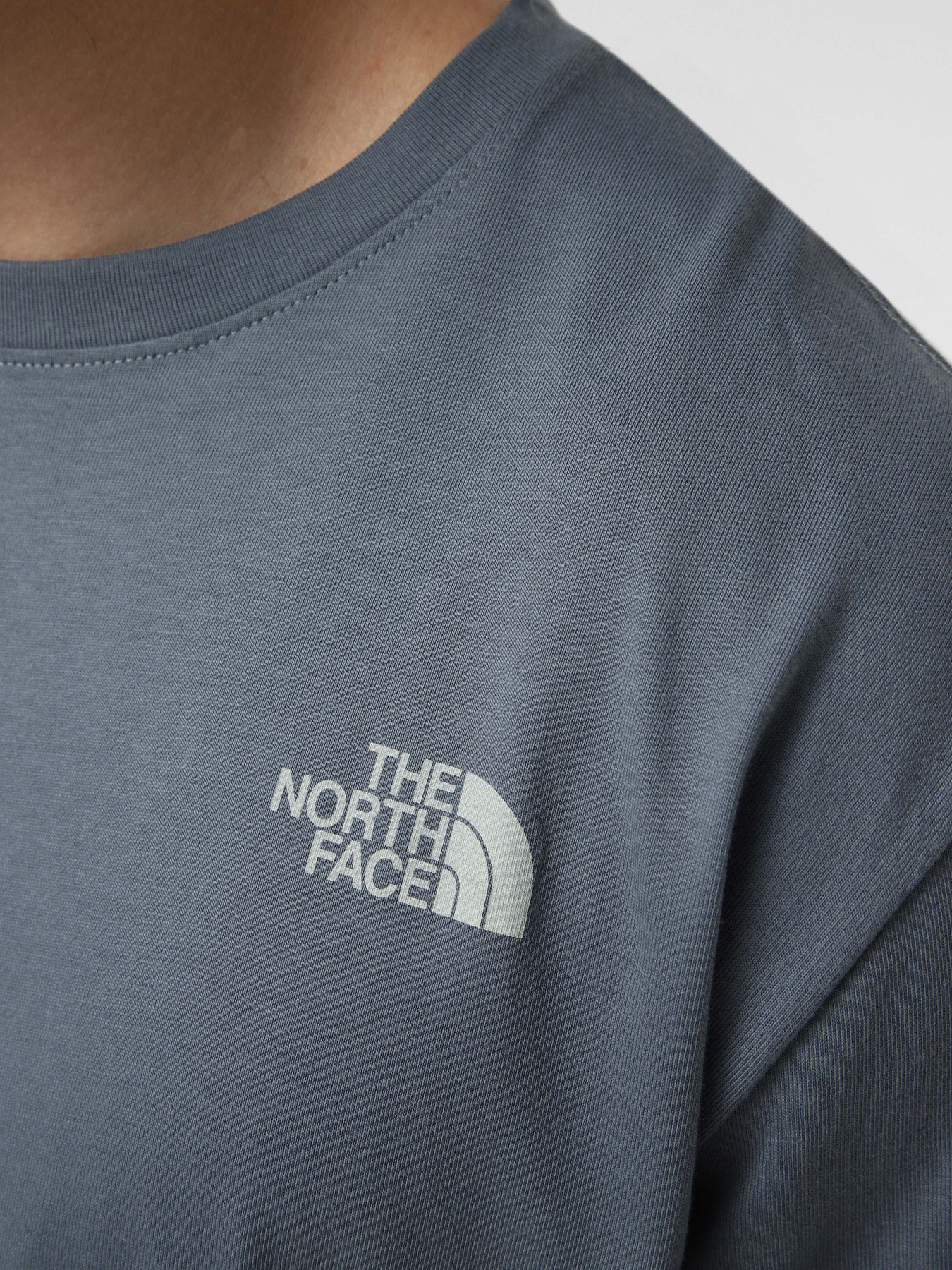 Футболки і поло The North Face M RETRO EARTH RELAXED SHORT SL модель NF0A8G9P0U31 Футболки і поло The North Face M RETRO EARTH RELAXED SHORT SL модель NF0A8G9P0U31 Фото