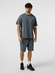 Футболки і поло The North Face M RETRO EARTH RELAXED SHORT SL модель NF0A8G9P0U31 Фото