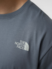 Футболки і поло The North Face M RETRO EARTH RELAXED SHORT SL модель NF0A8G9P0U31 Фото