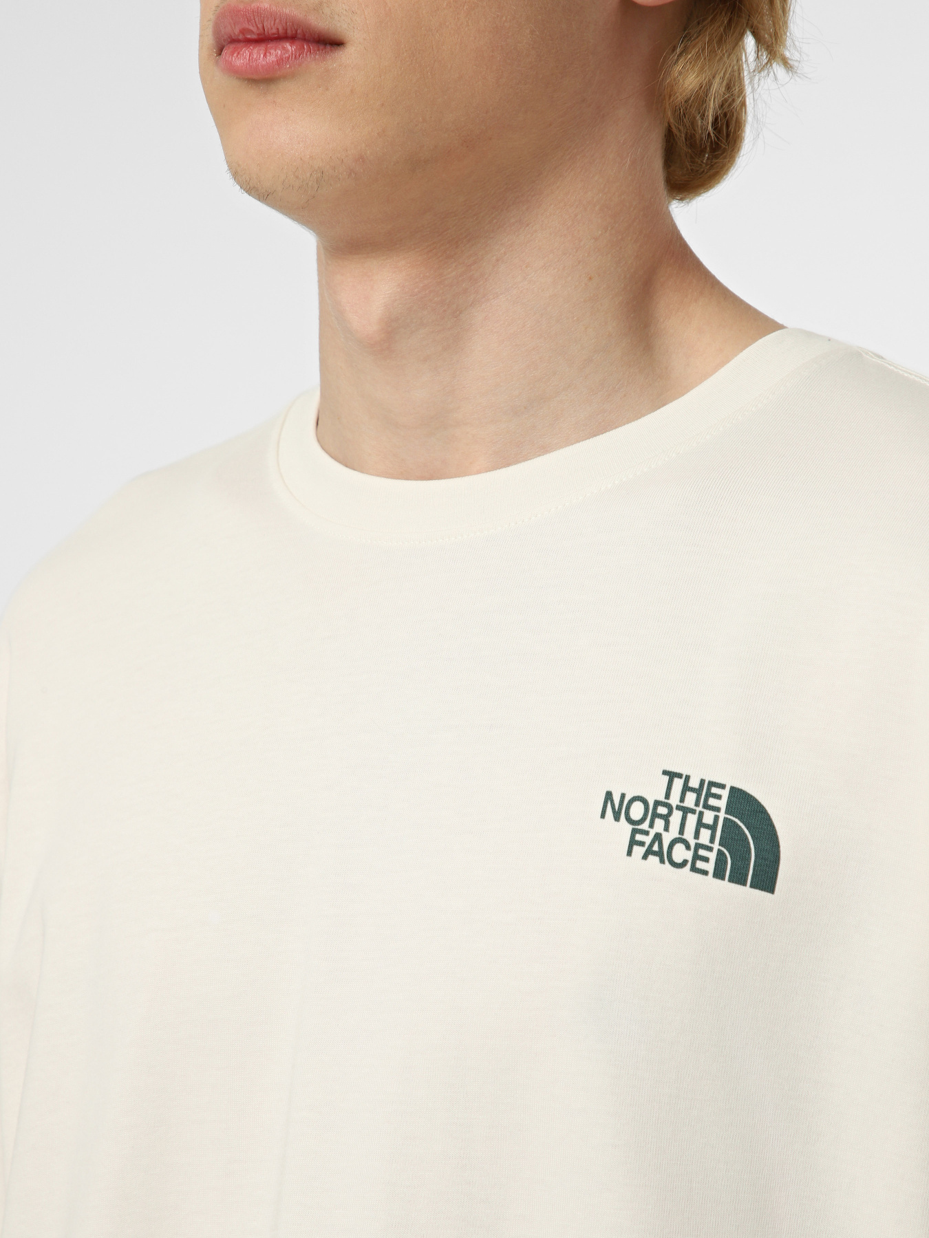 Футболки і поло The North Face M RETRO EARTH RELAXED SHORT SL модель NF0A8G9PQLI1 Футболки і поло The North Face M RETRO EARTH RELAXED SHORT SL модель NF0A8G9PQLI1 Фото