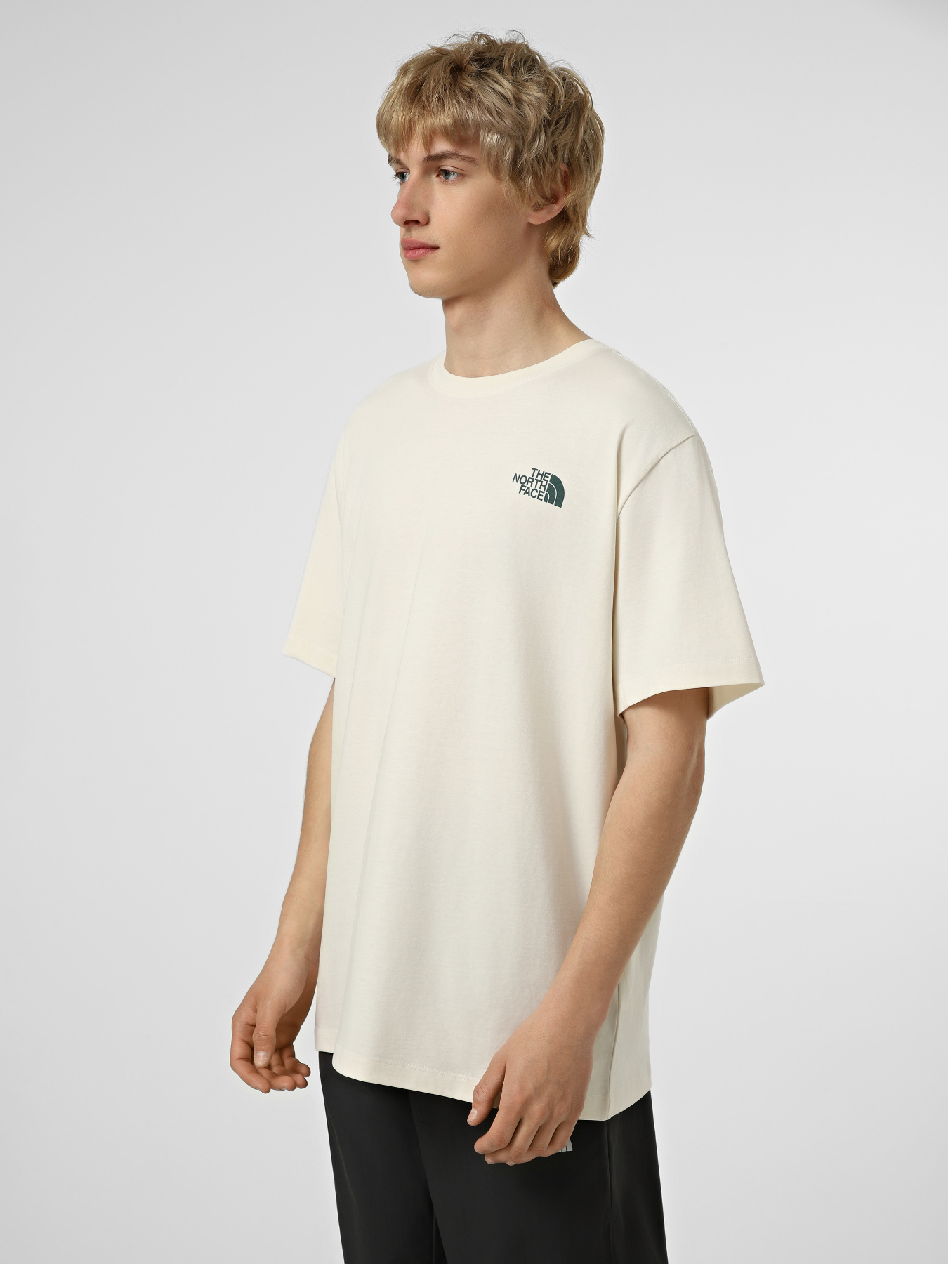Футболки і поло The North Face M RETRO EARTH RELAXED SHORT SL модель NF0A8G9PQLI1 Футболки і поло The North Face M RETRO EARTH RELAXED SHORT SL модель NF0A8G9PQLI1 Фото