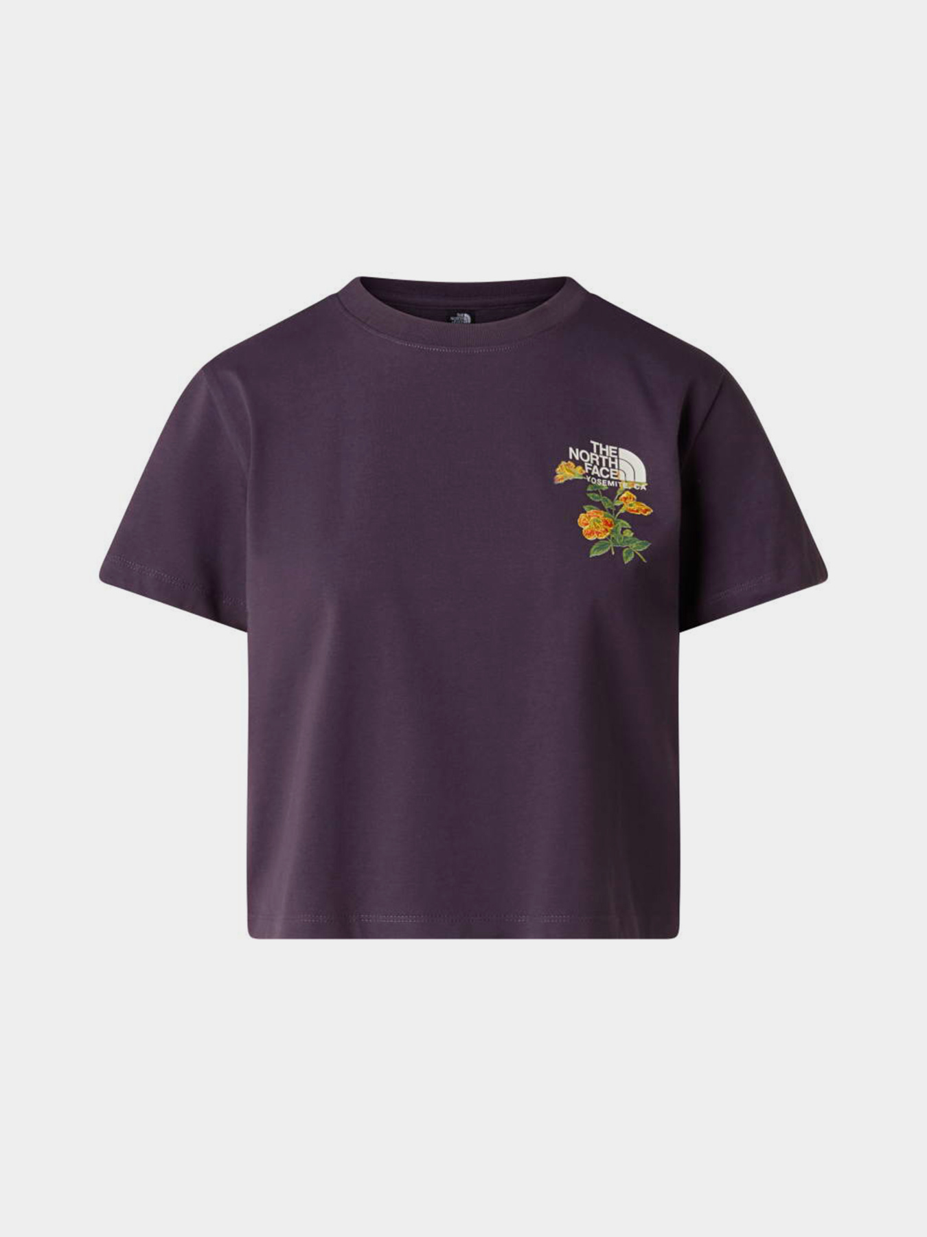 Футболки і поло The North Face W FLORA EMBRO REGULAR SHORT SL модель NF0A8G9QG5O1 Футболки і поло The North Face W FLORA EMBRO REGULAR SHORT SL модель NF0A8G9QG5O1 Фото