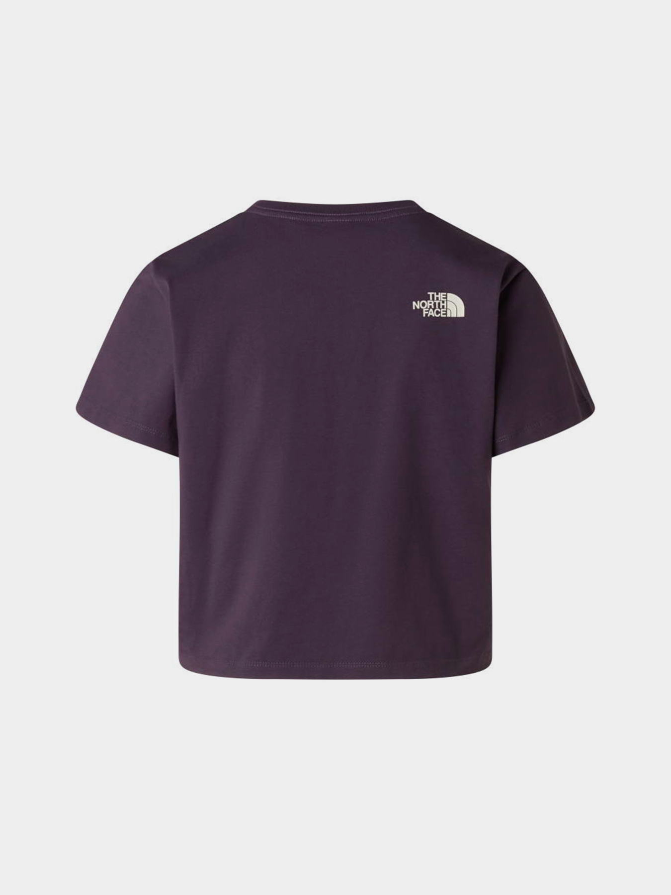 Футболки і поло The North Face W FLORA EMBRO REGULAR SHORT SL модель NF0A8G9QG5O1 Футболки і поло The North Face W FLORA EMBRO REGULAR SHORT SL модель NF0A8G9QG5O1 Фото