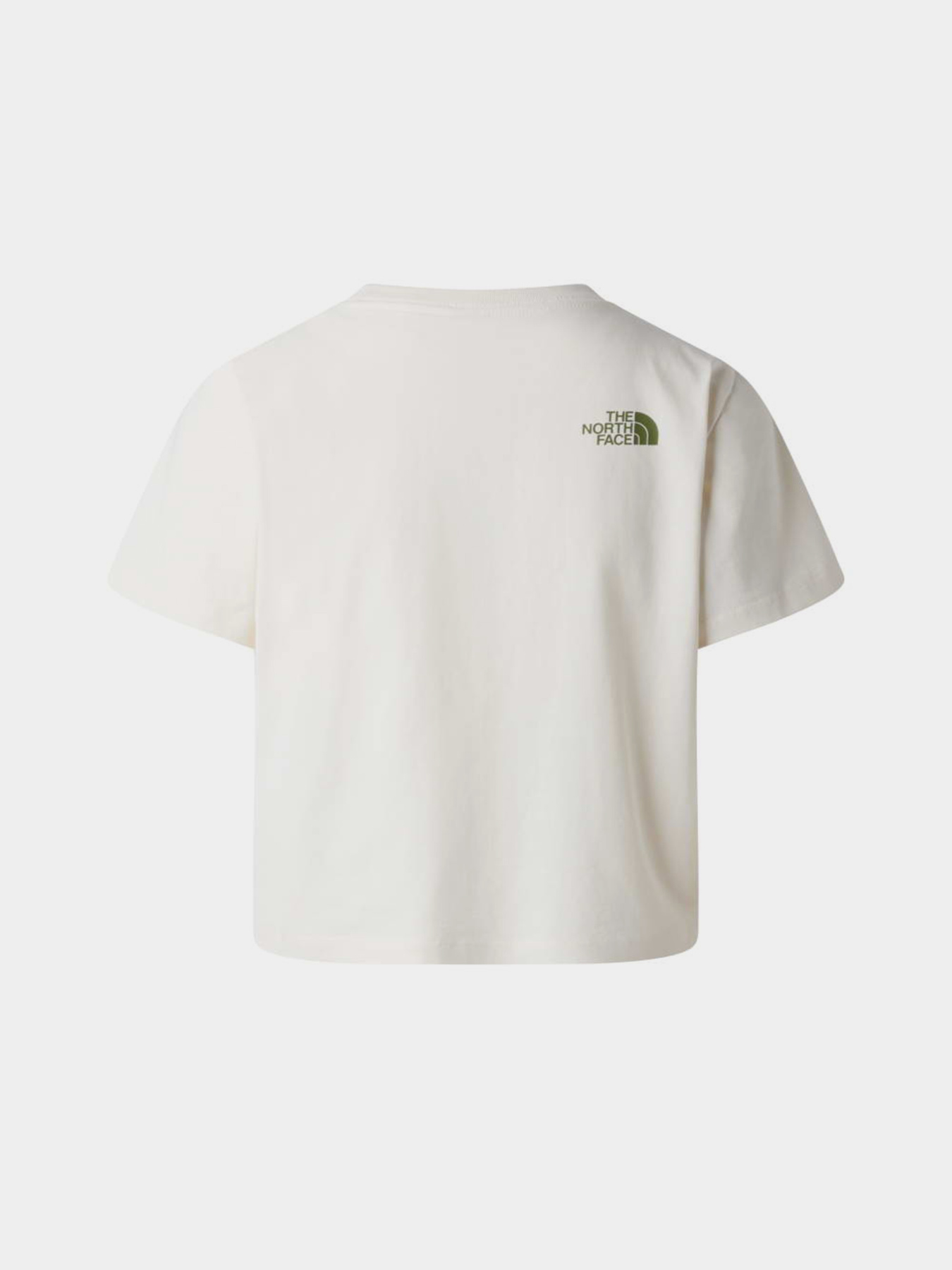 Футболки і поло The North Face W FLORA EMBRO REGULAR SHORT SL модель NF0A8G9QQLI1 Футболки і поло The North Face W FLORA EMBRO REGULAR SHORT SL модель NF0A8G9QQLI1 Фото