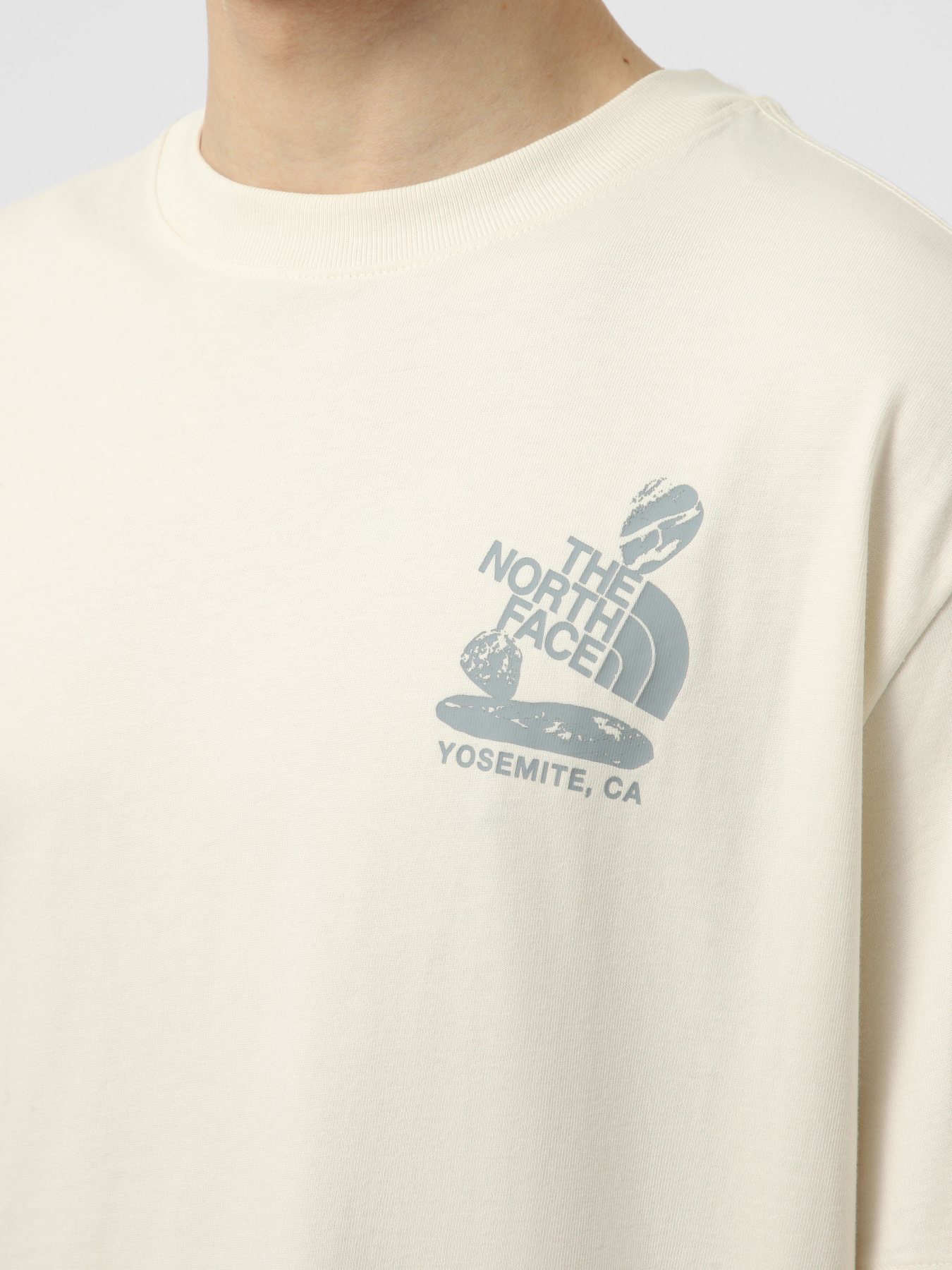 Футболки і поло The North Face M STONES RELAXED SHORT SLEEVE модель NF0A8G9RQLI1 Футболки і поло The North Face M STONES RELAXED SHORT SLEEVE модель NF0A8G9RQLI1 Фото