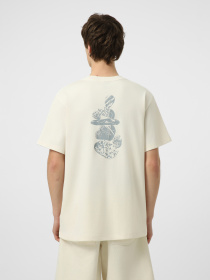 Футболки і поло The North Face M STONES RELAXED SHORT SLEEVE модель NF0A8G9RQLI1 Фото