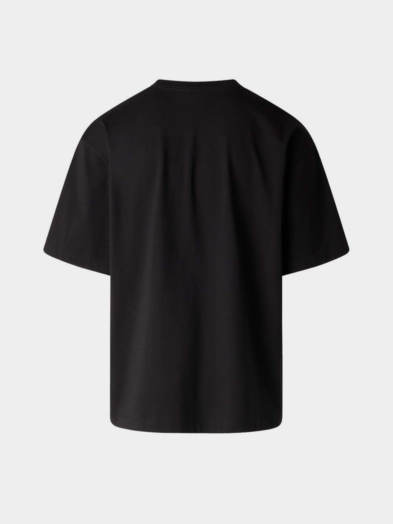 Футболки і поло The North Face M LIQUID LOGO OVERSIZE SHORT S модель NF0A8G9UJK31 Фото