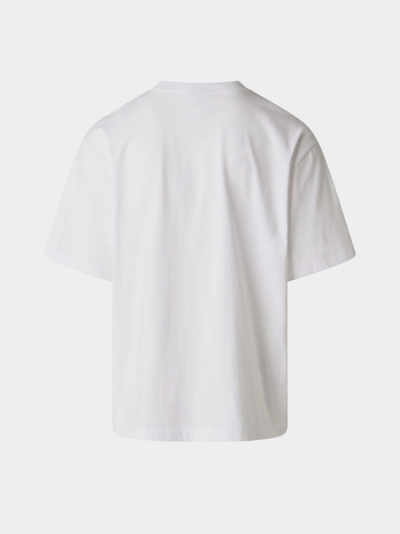 Футболки і поло The North Face M LIQUID LOGO OVERSIZE SHORT S модель NF0A8G9UFN41 Фото