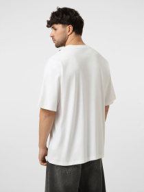 Футболки і поло The North Face M LIQUID LOGO OVERSIZE SHORT S модель NF0A8G9UFN41 Фото