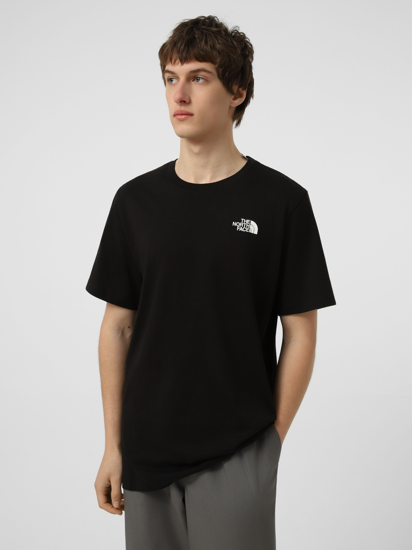 Футболки и поло The North Face M BOX NSE ENERGY REGULAR SHORT модель NF0A8G9VJK31 Футболки и поло The North Face M BOX NSE ENERGY REGULAR SHORT модель NF0A8G9VJK31 Фото