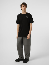 Футболки и поло The North Face M BOX NSE ENERGY REGULAR SHORT модель NF0A8G9VJK31 Фото