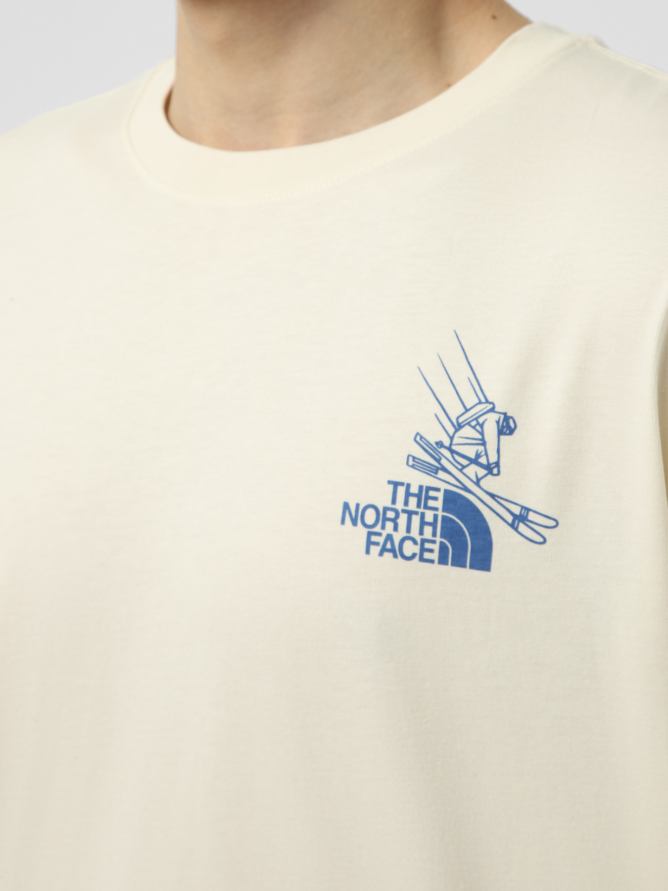 Футболки и поло The North Face M MOUNTAIN CELEBRATION REGULAR модель NF0A8G9ZQLI1 Футболки и поло The North Face M MOUNTAIN CELEBRATION REGULAR модель NF0A8G9ZQLI1 Фото