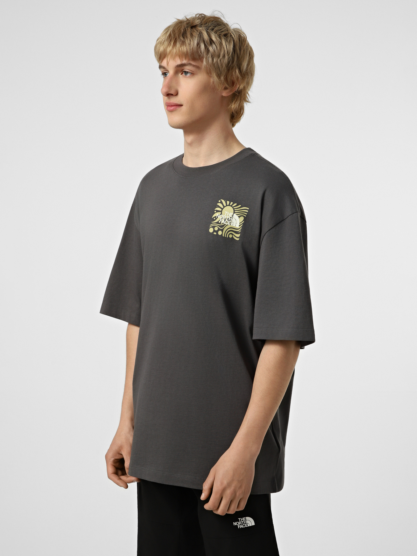 Футболки і поло The North Face M SUN OVERSIZE SHORT SLEEVE TE модель NF0A8GA0RHI1 Футболки і поло The North Face M SUN OVERSIZE SHORT SLEEVE TE модель NF0A8GA0RHI1 Фото