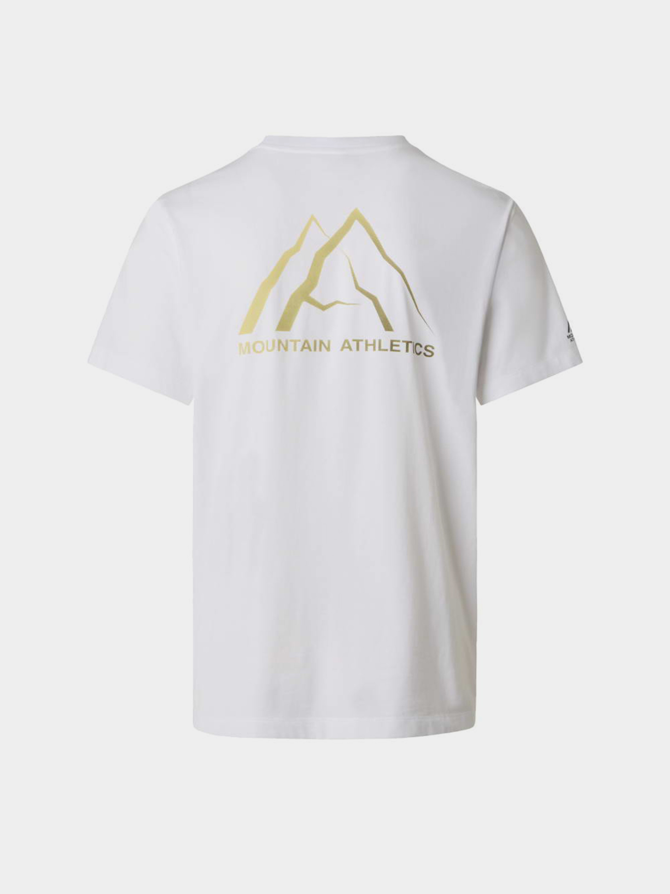 Футболки і поло The North Face M MA GRAPHIC REGULAR SHORT SLE модель NF0A8GA4FN41 Футболки і поло The North Face M MA GRAPHIC REGULAR SHORT SLE модель NF0A8GA4FN41 Фото