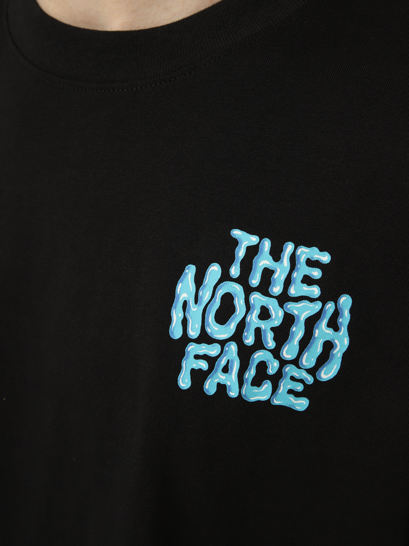 Футболки і поло The North Face M DRIP LOGO RELAXED SHORT SLEE модель NF0A8GABJK31 Футболки і поло The North Face M DRIP LOGO RELAXED SHORT SLEE модель NF0A8GABJK31 Фото