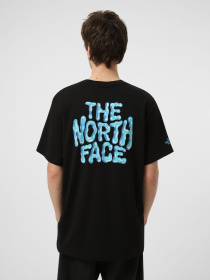 Футболки і поло The North Face M DRIP LOGO RELAXED SHORT SLEE модель NF0A8GABJK31 Фото