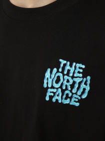 Футболки і поло The North Face M DRIP LOGO RELAXED SHORT SLEE модель NF0A8GABJK31 Фото