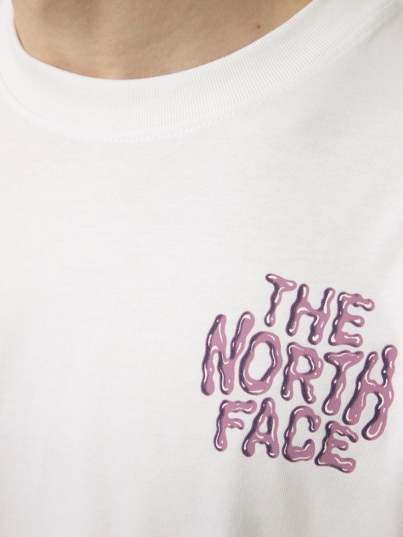 Футболки і поло The North Face M DRIP LOGO RELAXED SHORT SLEE модель NF0A8GABFN41 Футболки і поло The North Face M DRIP LOGO RELAXED SHORT SLEE модель NF0A8GABFN41 Фото