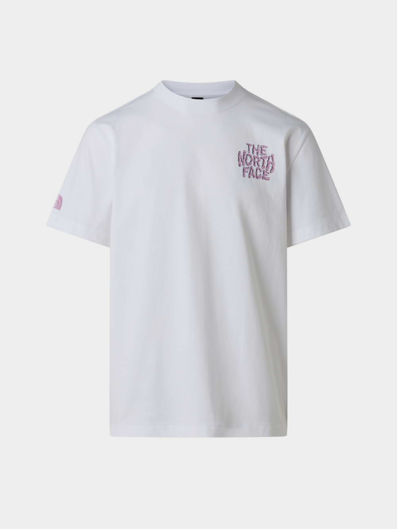 Футболки і поло The North Face M DRIP LOGO RELAXED SHORT SLEE модель NF0A8GABFN41 Футболки і поло The North Face M DRIP LOGO RELAXED SHORT SLEE модель NF0A8GABFN41 Фото