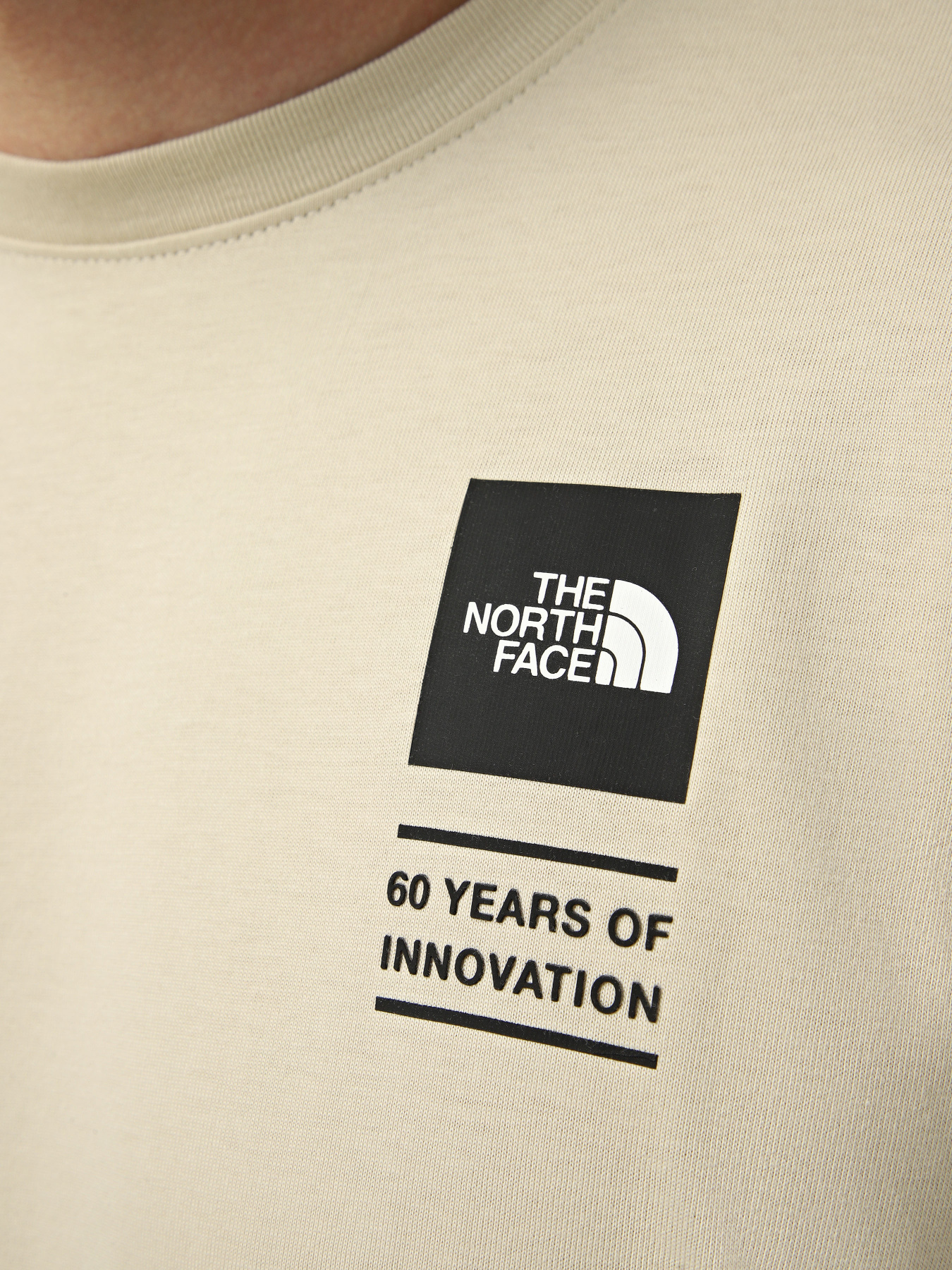 Футболки и поло The North Face M ICON CELEBRATION REGULAR SHO модель NF0A8GASDOM1 Футболки и поло The North Face M ICON CELEBRATION REGULAR SHO модель NF0A8GASDOM1 Фото