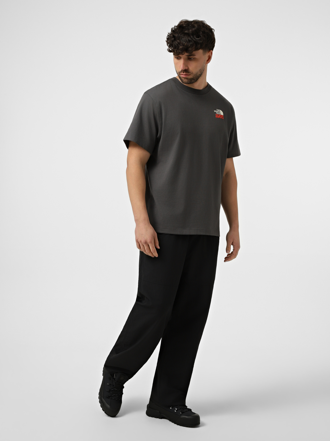 Футболки і поло The North Face M 1966 FLORA RELAXED SHORT SLE модель NF0A8GB2RHI1 Футболки і поло The North Face M 1966 FLORA RELAXED SHORT SLE модель NF0A8GB2RHI1 Фото