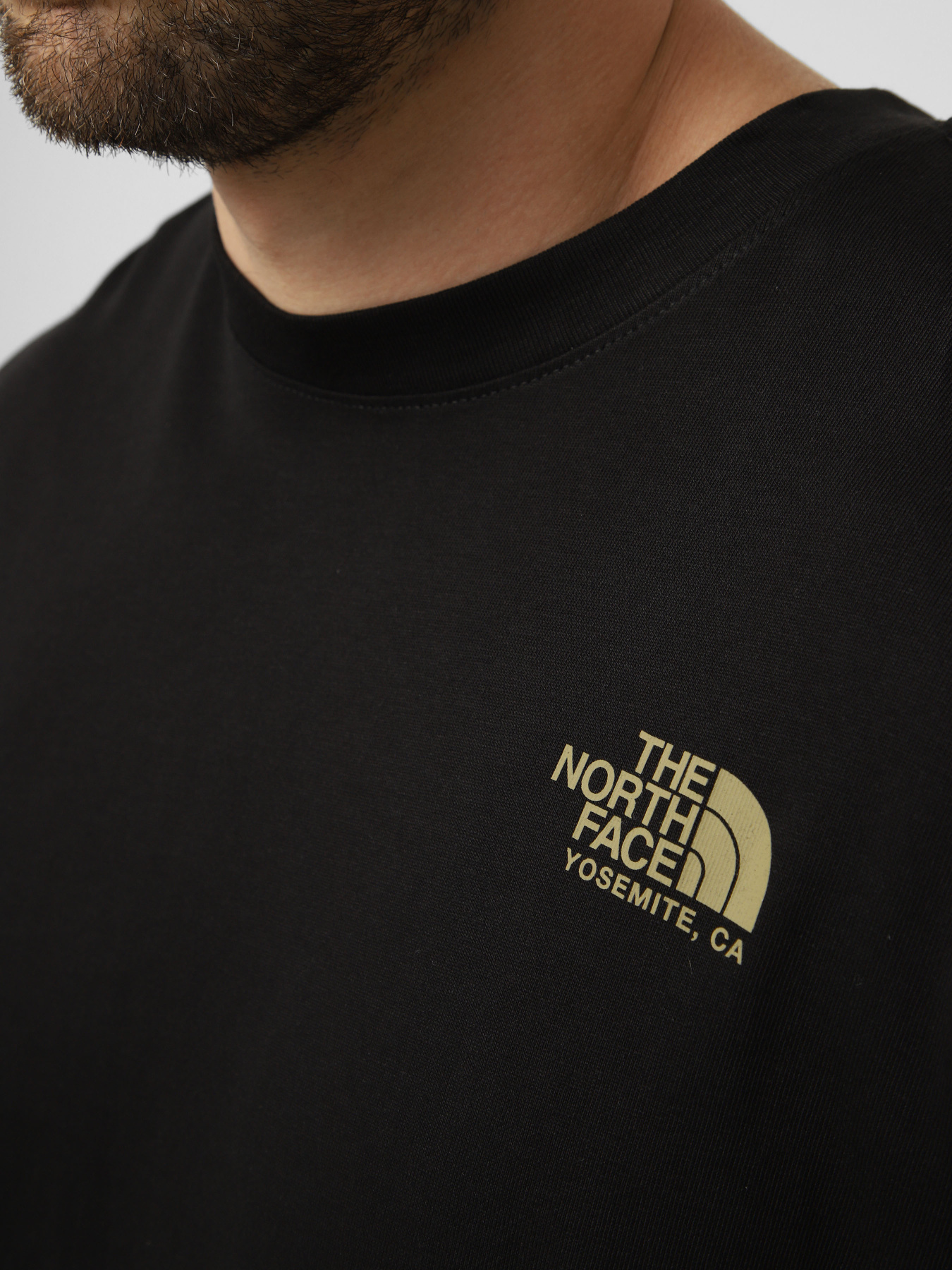 Футболки і поло The North Face M PLANT & FLORA OVERSIZE SHORT модель NF0A8GB3JK31 Футболки і поло The North Face M PLANT & FLORA OVERSIZE SHORT модель NF0A8GB3JK31 Фото