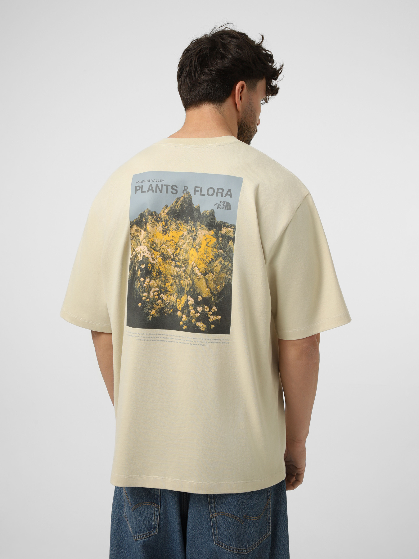 Футболки і поло The North Face M PLANT & FLORA OVERSIZE SHORT модель NF0A8GB3DOM1 Футболки і поло The North Face M PLANT & FLORA OVERSIZE SHORT модель NF0A8GB3DOM1 Фото