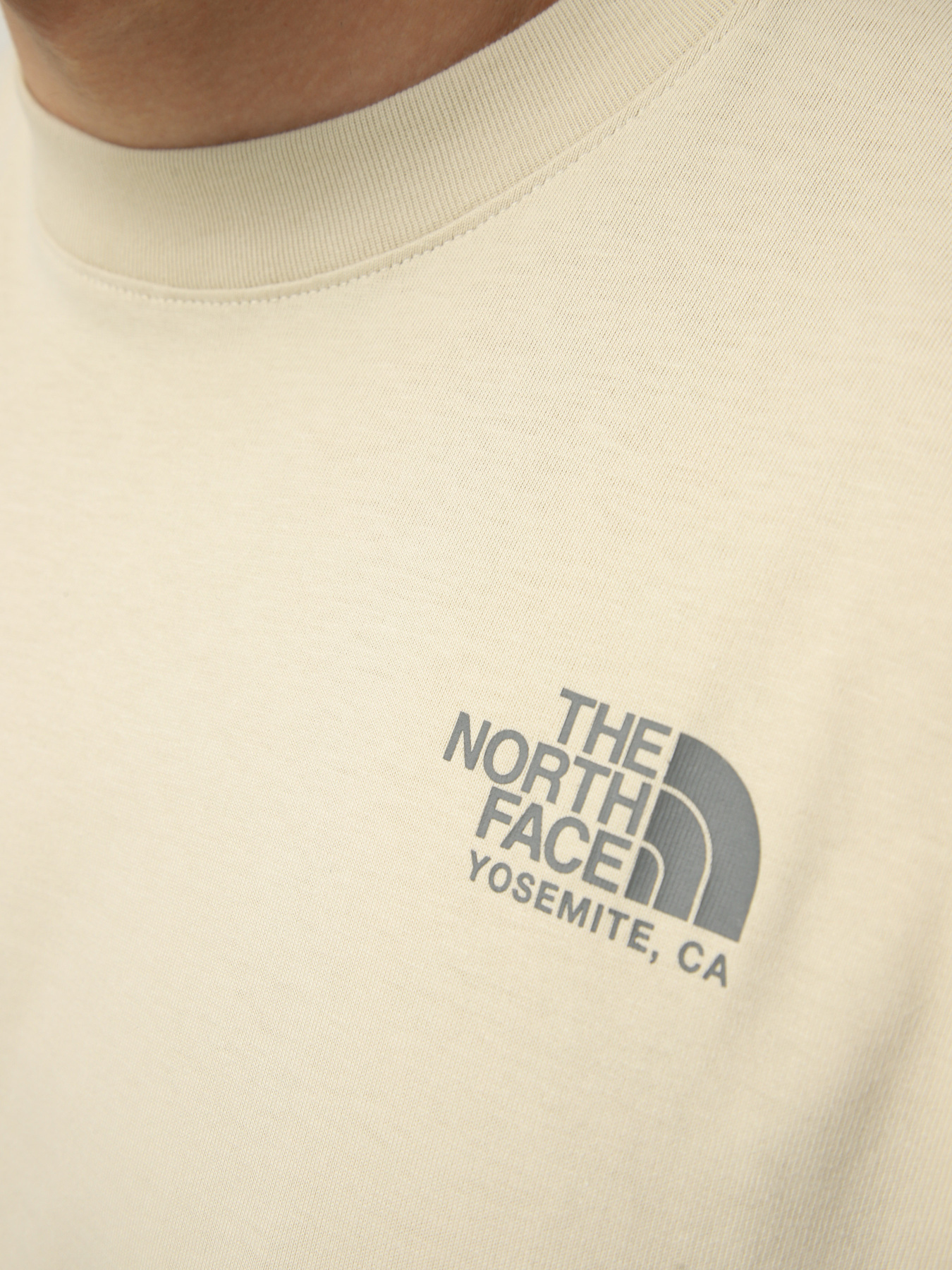 Футболки і поло The North Face M PLANT & FLORA OVERSIZE SHORT модель NF0A8GB3DOM1 Футболки і поло The North Face M PLANT & FLORA OVERSIZE SHORT модель NF0A8GB3DOM1 Фото