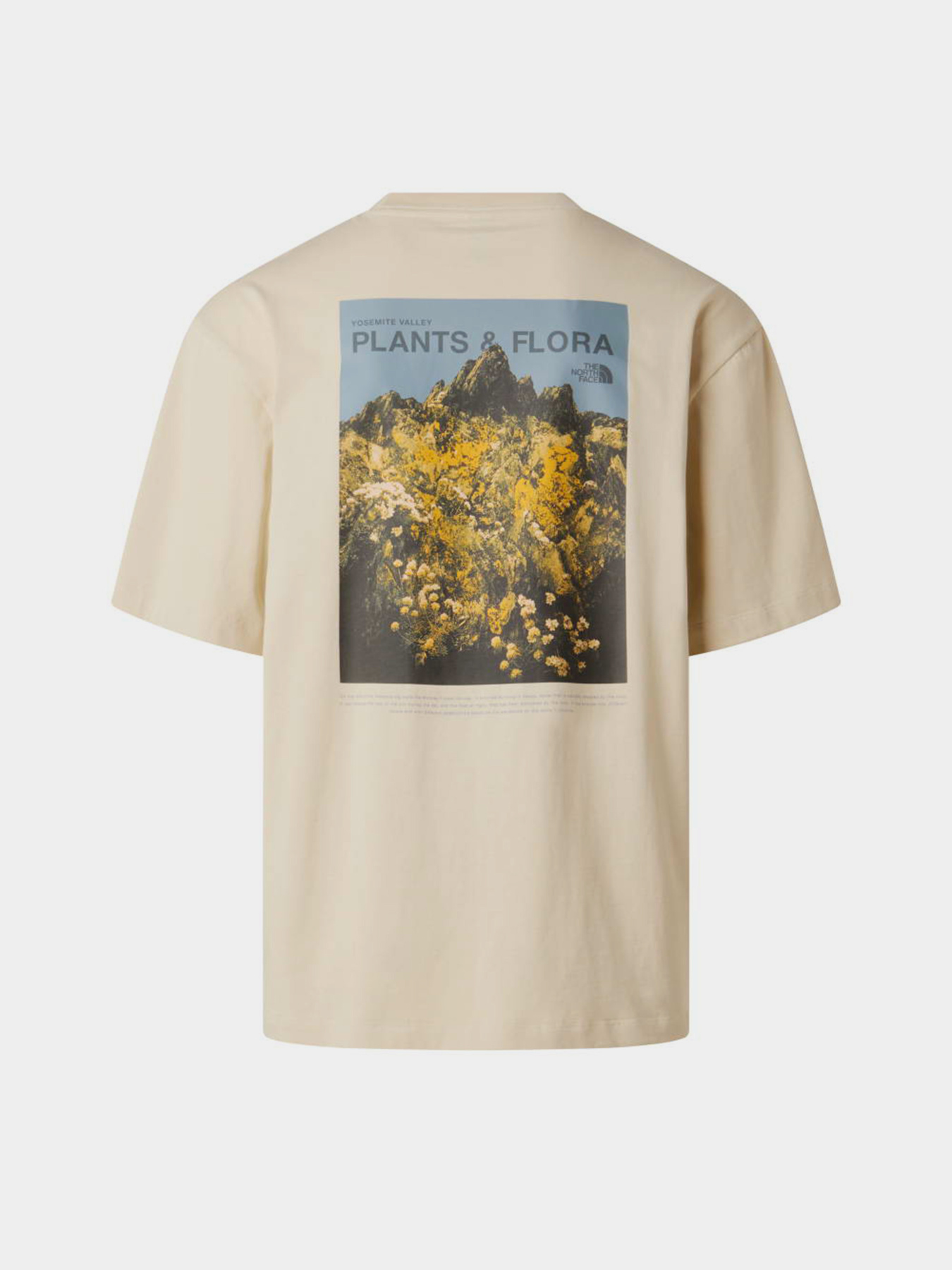 Футболки і поло The North Face M PLANT & FLORA OVERSIZE SHORT модель NF0A8GB3DOM1 Футболки і поло The North Face M PLANT & FLORA OVERSIZE SHORT модель NF0A8GB3DOM1 Фото