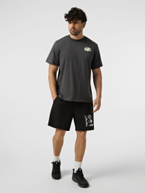 Футболки і поло The North Face M VAN LIFE RELAXED SHORT SLEEV модель NF0A8GQNRHI1 Фото