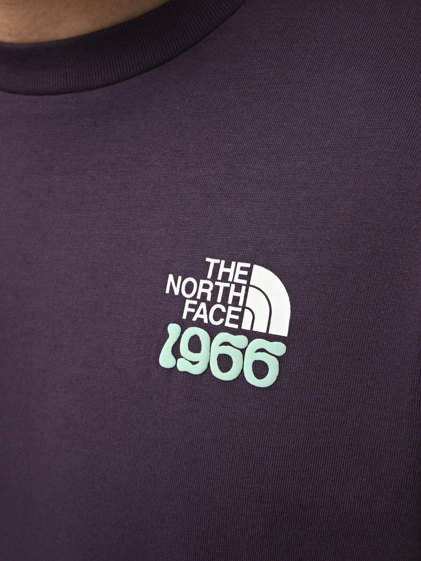 Футболки і поло The North Face M 1966 TNF RELAXED SHORT SLEEV модель NF0A8GQUG5O1 Футболки і поло The North Face M 1966 TNF RELAXED SHORT SLEEV модель NF0A8GQUG5O1 Фото