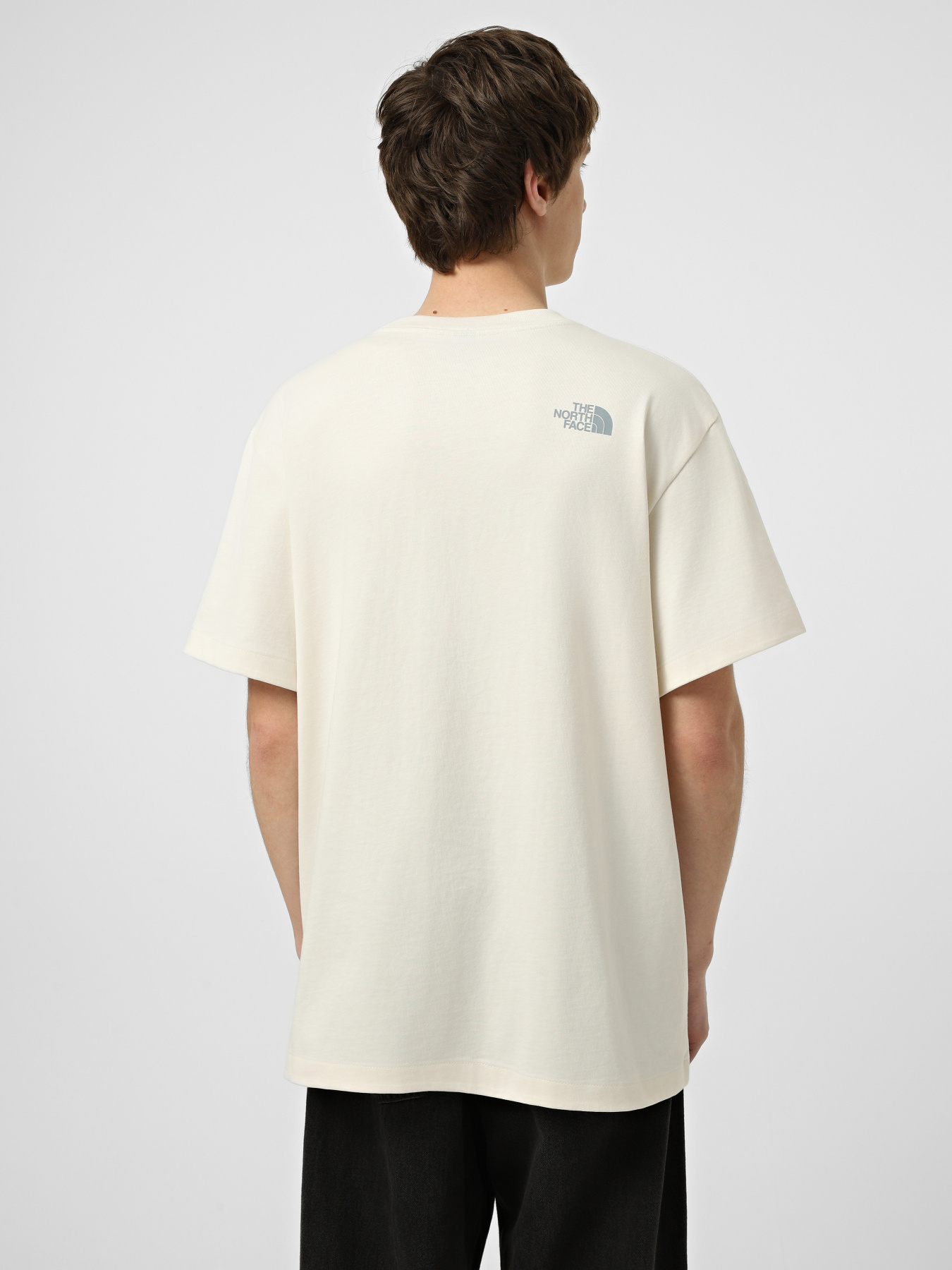 Футболки и поло The North Face M LOGO TWIST RELAXED SHORT SLE модель NF0A8GQVQLI1 Футболки и поло The North Face M LOGO TWIST RELAXED SHORT SLE модель NF0A8GQVQLI1 Фото