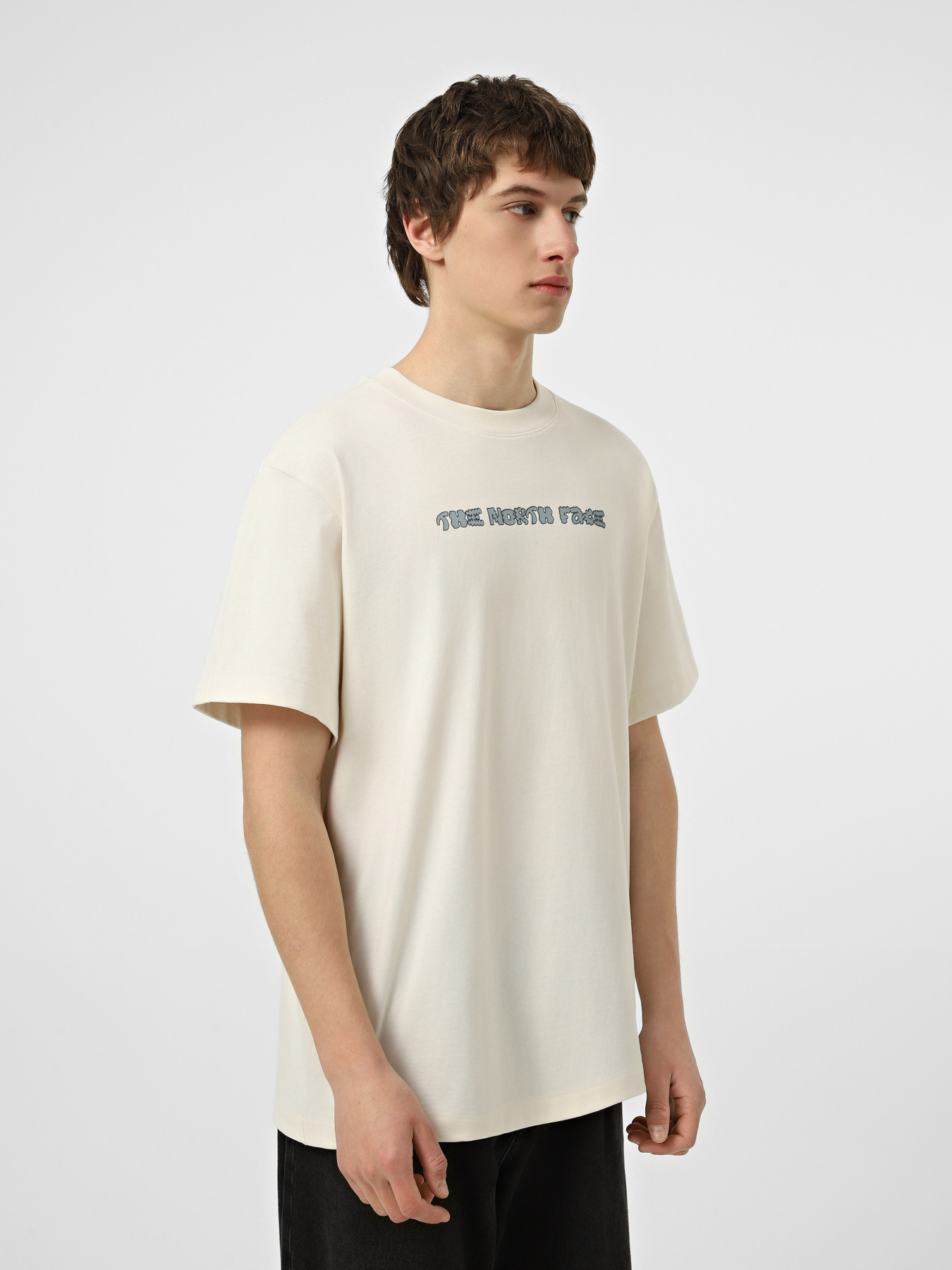 Футболки и поло The North Face M LOGO TWIST RELAXED SHORT SLE модель NF0A8GQVQLI1 Футболки и поло The North Face M LOGO TWIST RELAXED SHORT SLE модель NF0A8GQVQLI1 Фото