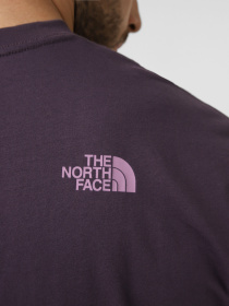Футболки і поло The North Face M LOGO TWIST RELAXED SHORT SLE модель NF0A8GQVG5O1 Фото