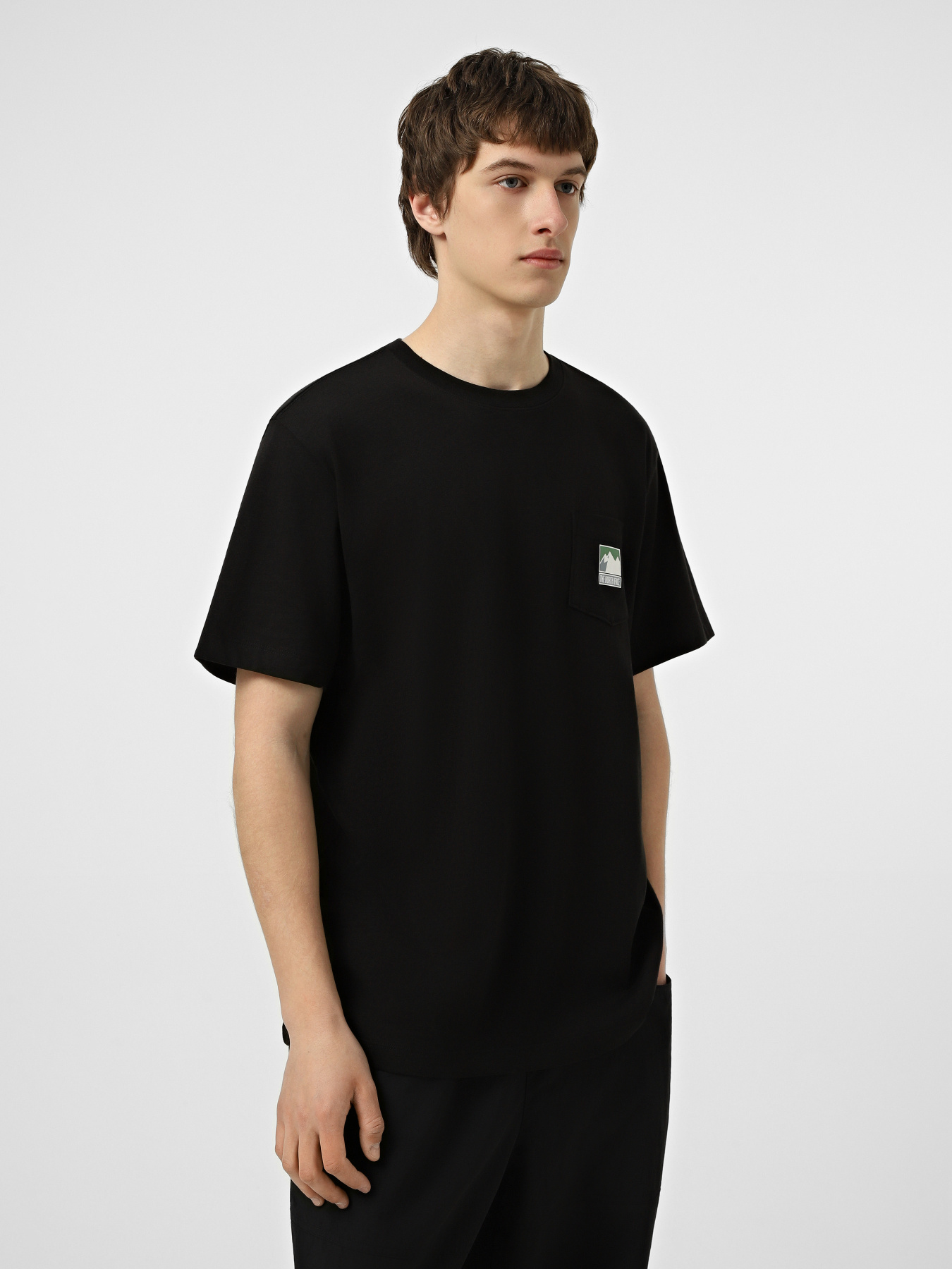 Футболки і поло The North Face M MOUNTAIN LOGO RELAXED SHORT модель NF0A8GUUJK31 Футболки і поло The North Face M MOUNTAIN LOGO RELAXED SHORT модель NF0A8GUUJK31 Фото
