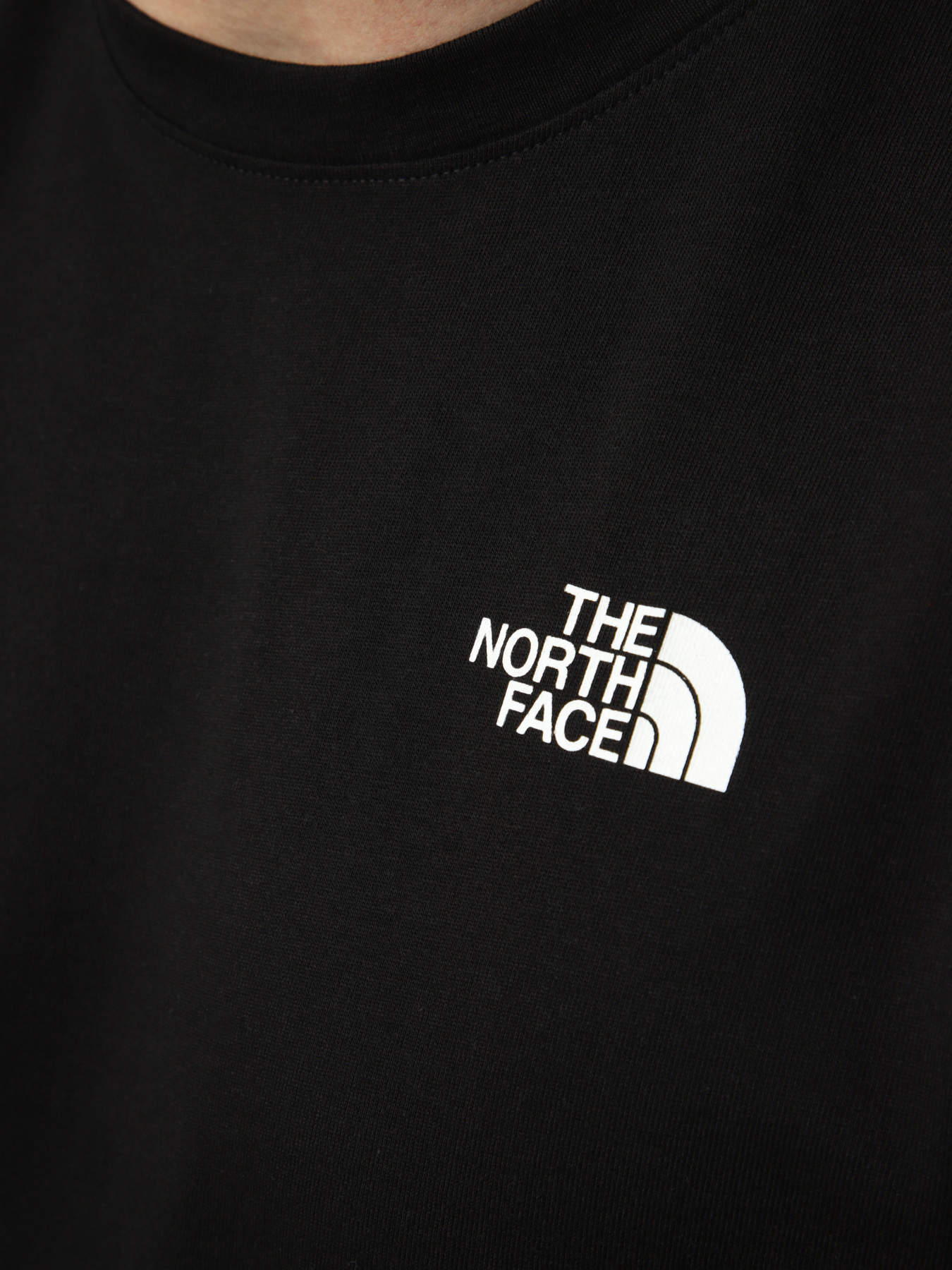 Футболки і поло The North Face M NORTH FACES REGULAR SHORT SL модель NF0A8GUWJK31 Футболки і поло The North Face M NORTH FACES REGULAR SHORT SL модель NF0A8GUWJK31 Фото