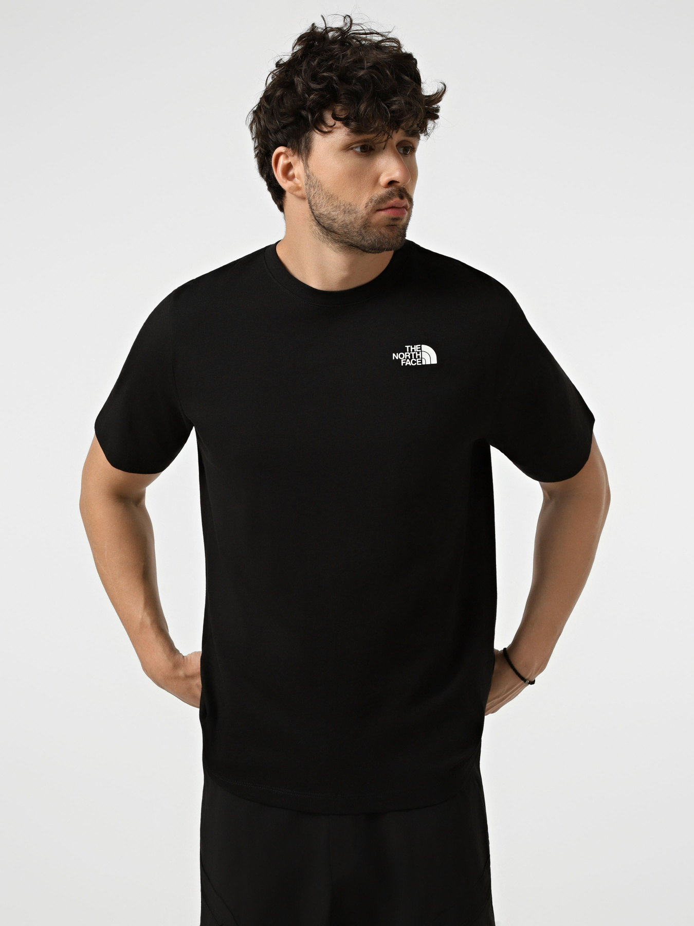 Футболки і поло The North Face M NORTH FACES REGULAR SHORT SL модель NF0A8GUWJK31 Футболки і поло The North Face M NORTH FACES REGULAR SHORT SL модель NF0A8GUWJK31 Фото