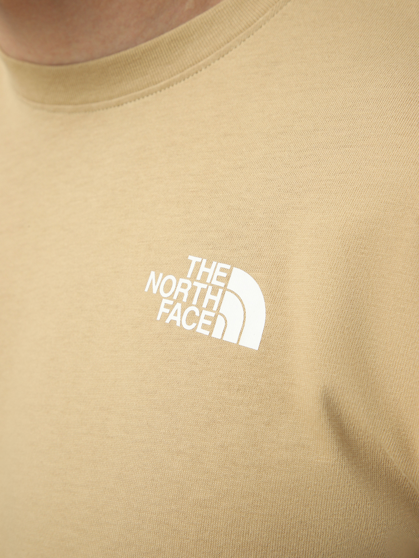 Футболки і поло The North Face M NORTH FACES REGULAR SHORT SL модель NF0A8GUWLK51 Футболки і поло The North Face M NORTH FACES REGULAR SHORT SL модель NF0A8GUWLK51 Фото