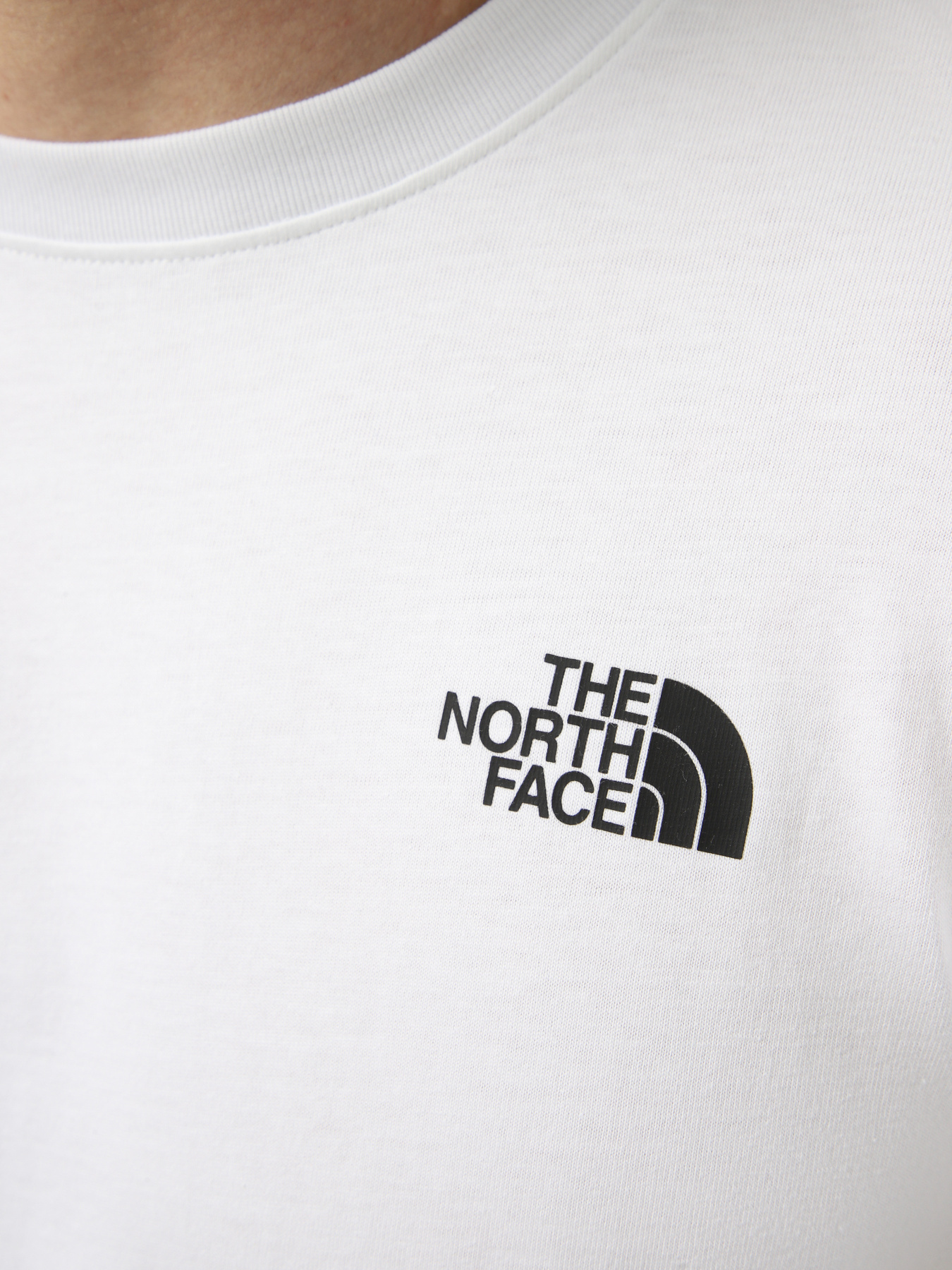 Футболки і поло The North Face M NORTH FACES REGULAR SHORT SL модель NF0A8GUWFN41 Футболки і поло The North Face M NORTH FACES REGULAR SHORT SL модель NF0A8GUWFN41 Фото