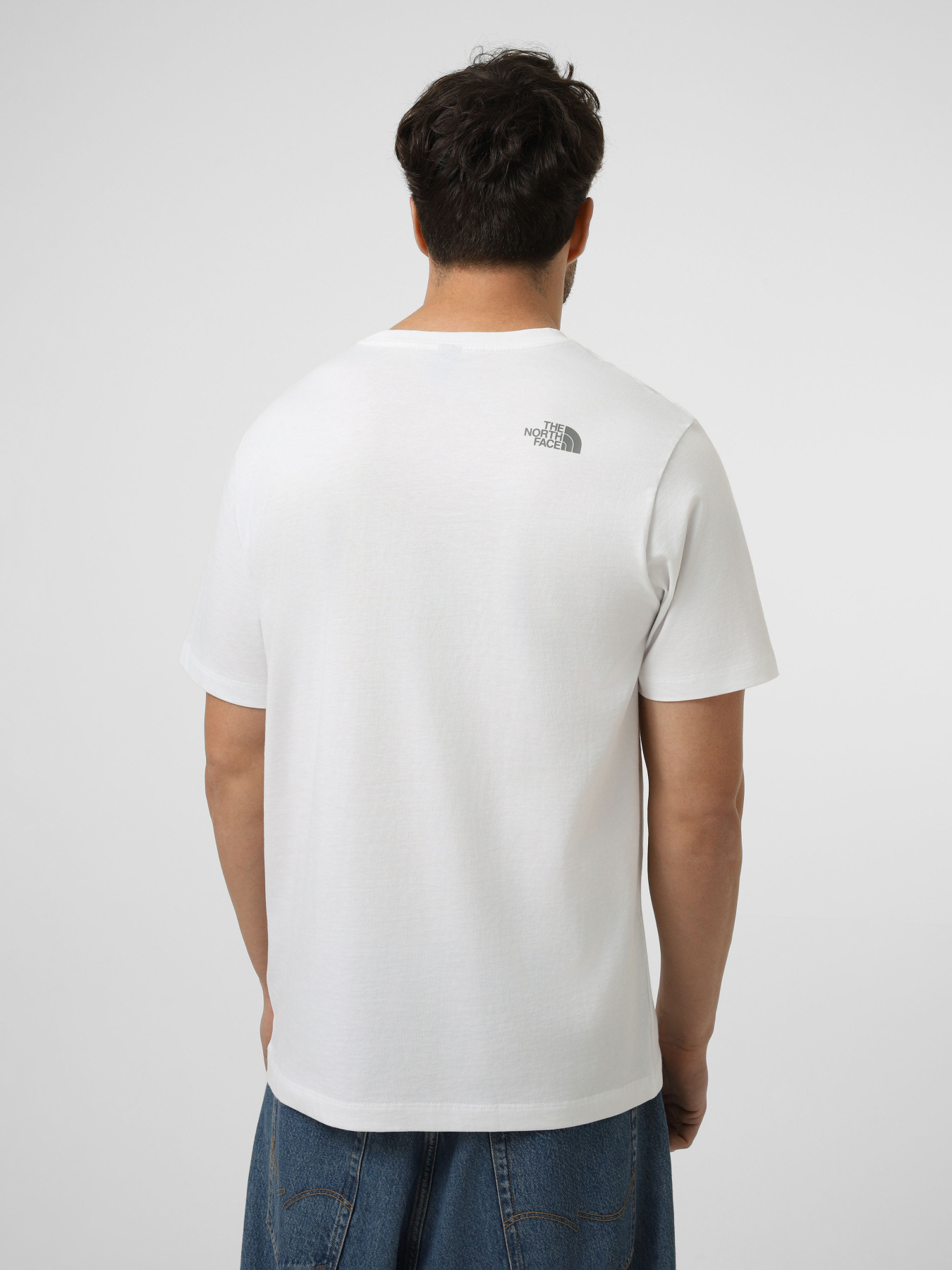 Футболки і поло The North Face M MOUNTAIN LINE REGULAR SHORT модель NF0A8GUXFN41 Футболки і поло The North Face M MOUNTAIN LINE REGULAR SHORT модель NF0A8GUXFN41 Фото