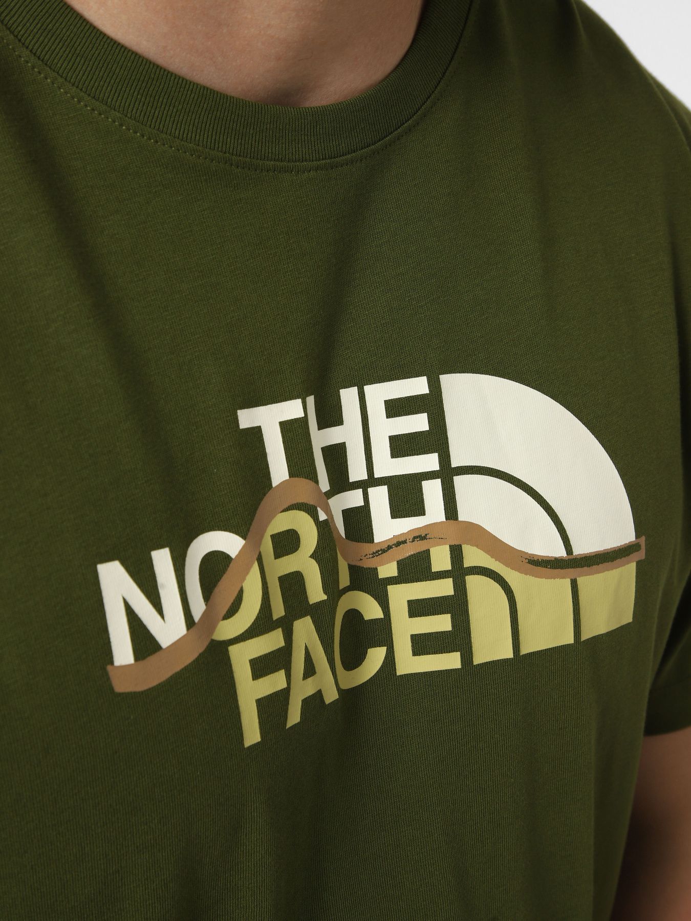 Футболки і поло The North Face M MOUNTAIN LINE REGULAR SHORT модель NF0A8GUXBRI1 Фото