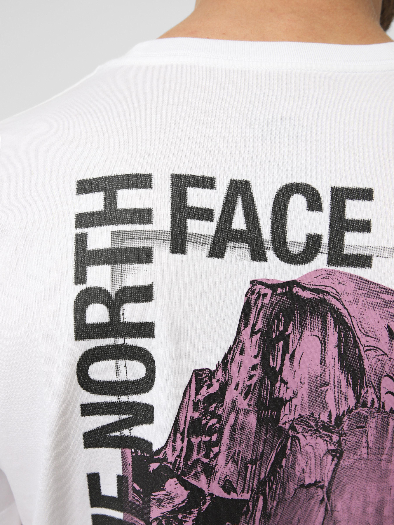 Футболки і поло The North Face M HALF DOME PHOTO REGULAR SHOR модель NF0A8GV0FN41 Футболки і поло The North Face M HALF DOME PHOTO REGULAR SHOR модель NF0A8GV0FN41 Фото