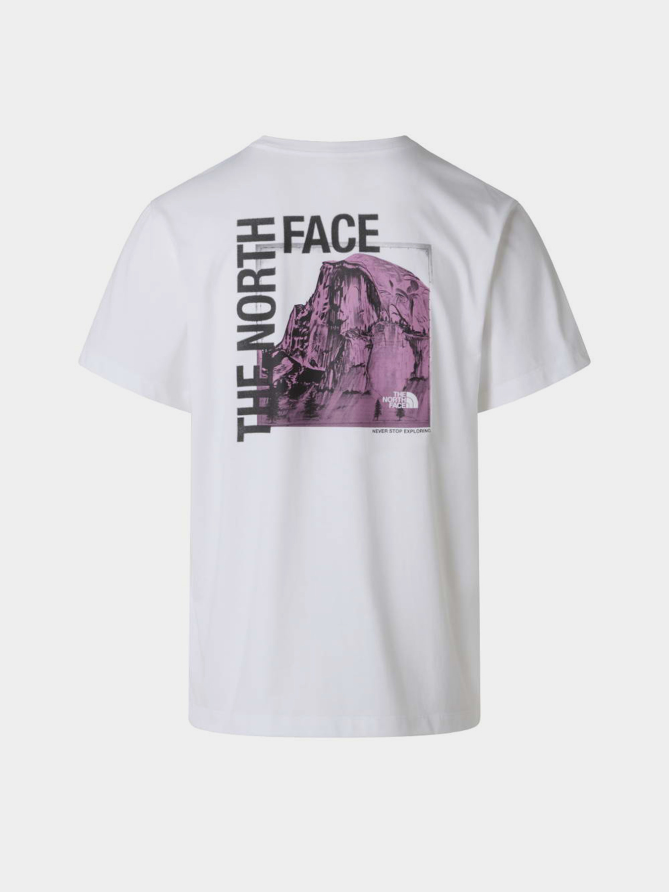 Футболки і поло The North Face M HALF DOME PHOTO REGULAR SHOR модель NF0A8GV0FN41 Футболки і поло The North Face M HALF DOME PHOTO REGULAR SHOR модель NF0A8GV0FN41 Фото
