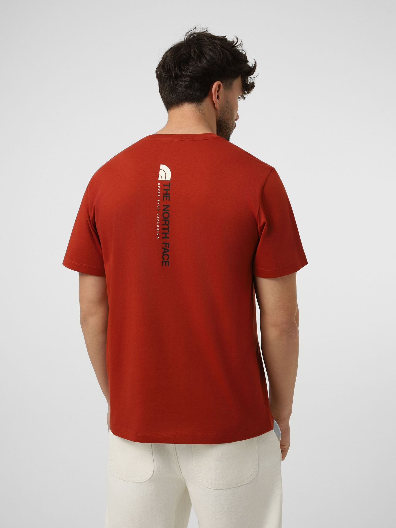 Футболки и поло The North Face M VERTICAL REGULAR SHORT SLEEV модель NF0A8GV1G6I1 Футболки и поло The North Face M VERTICAL REGULAR SHORT SLEEV модель NF0A8GV1G6I1 Фото