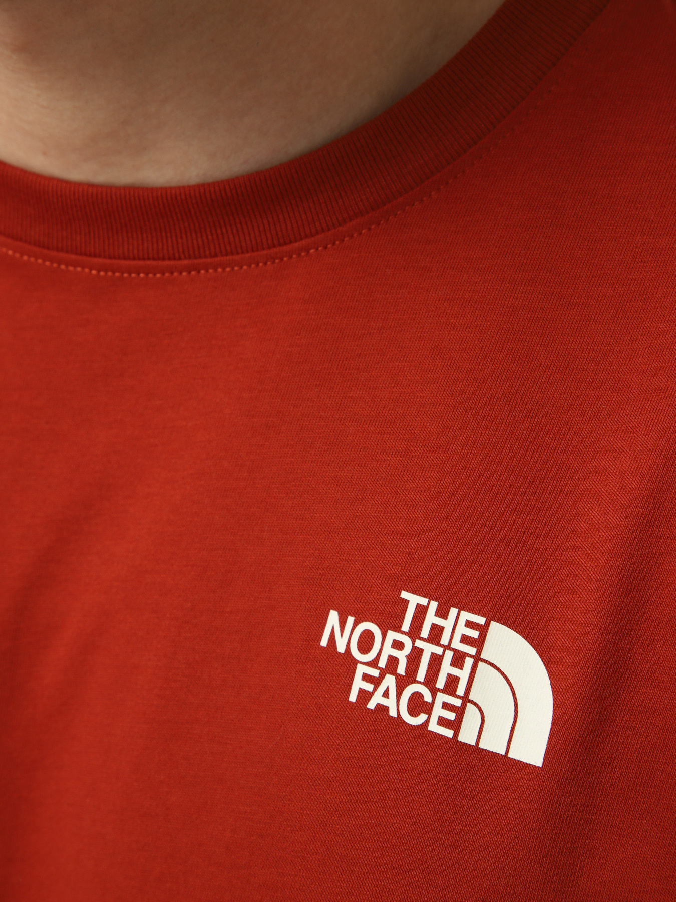 Футболки и поло The North Face M VERTICAL REGULAR SHORT SLEEV модель NF0A8GV1G6I1 Футболки и поло The North Face M VERTICAL REGULAR SHORT SLEEV модель NF0A8GV1G6I1 Фото