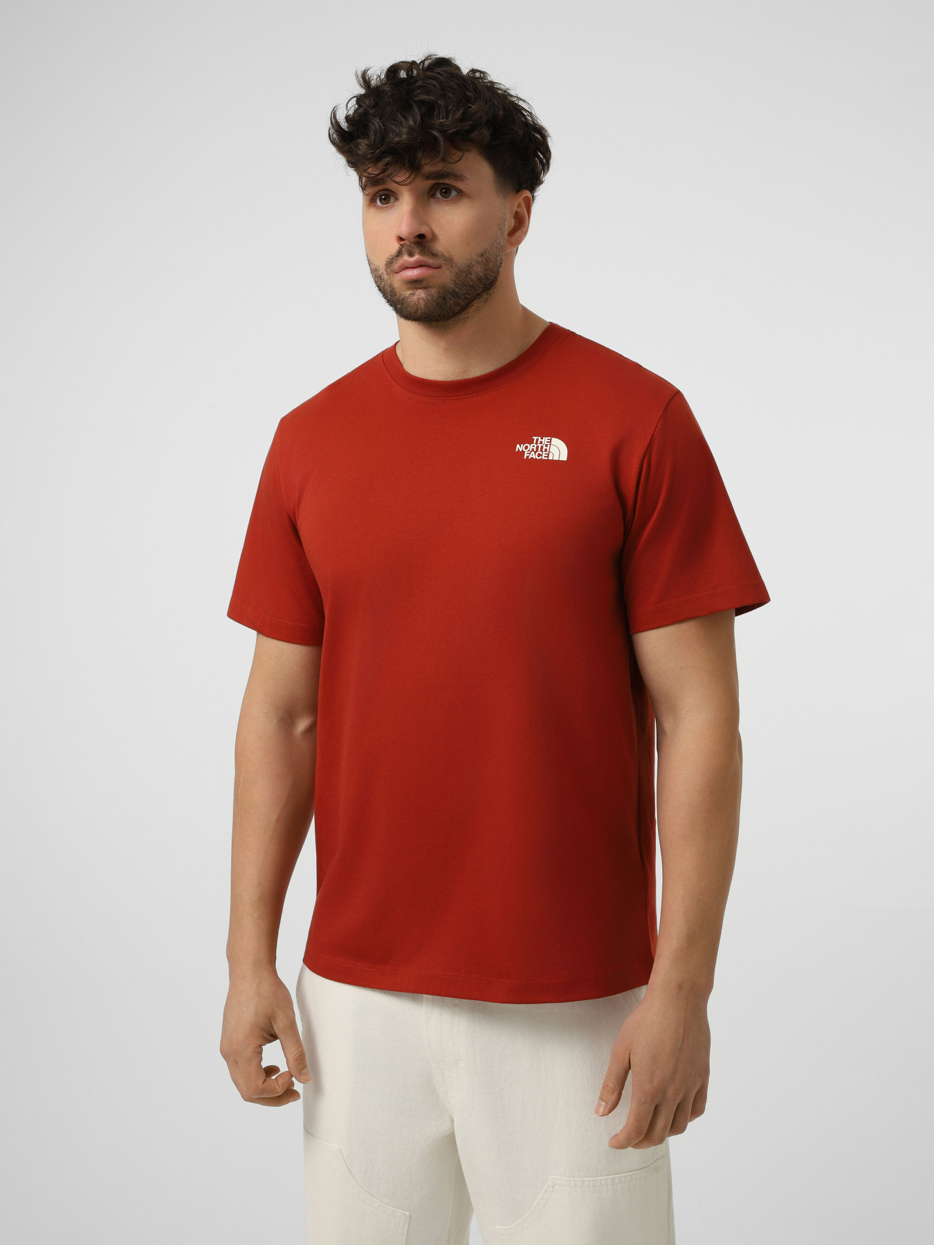Футболки и поло The North Face M VERTICAL REGULAR SHORT SLEEV модель NF0A8GV1G6I1 Футболки и поло The North Face M VERTICAL REGULAR SHORT SLEEV модель NF0A8GV1G6I1 Фото